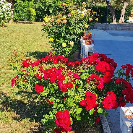 Nyaraló Casa Il Giardino Del Sole *