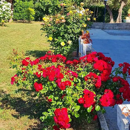 Nyaraló Casa Il Giardino Del Sole *