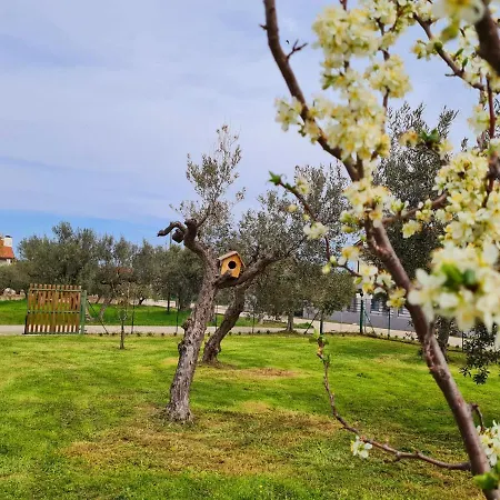 Casa Il Giardino Del Sole