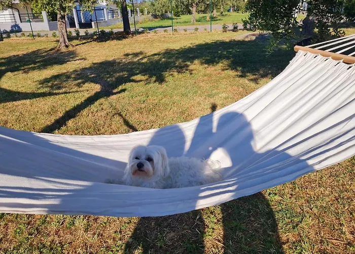 Casa Il Giardino Del Sole * Treglio