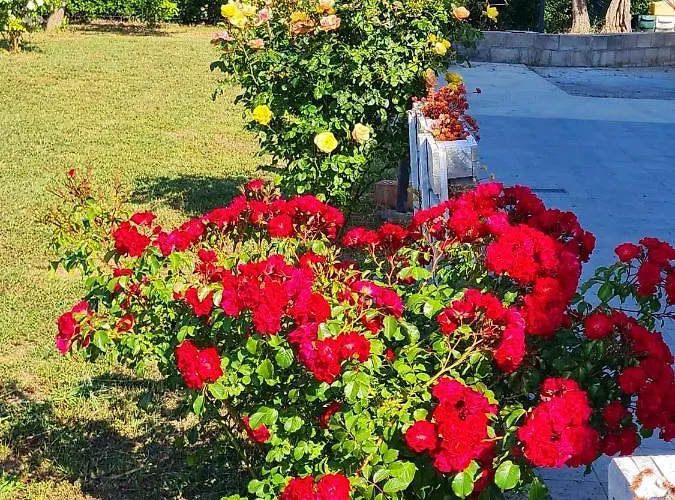Σπίτι διακοπών Casa Il Giardino Del Sole *