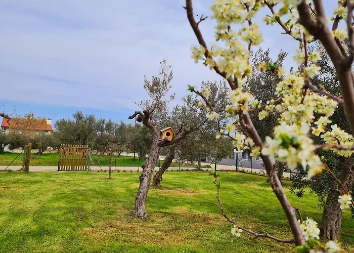 Casa Il Giardino Del Sole